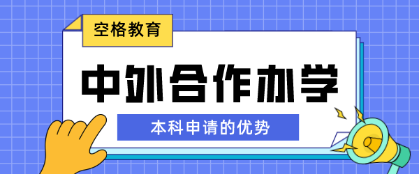 本科学历申请中外合作办学.png