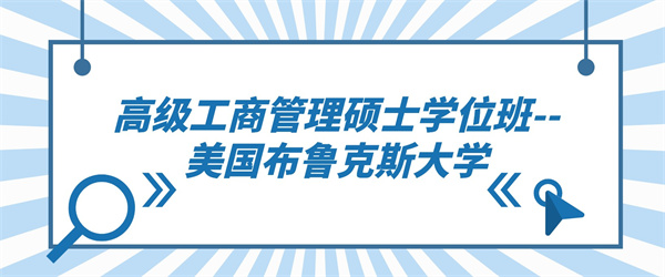 高级工商管理硕士学位班美国布鲁克斯大学.jpg